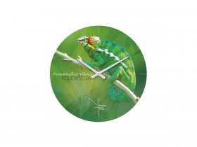 Часы настенные Nicole Time NT503 в Багане - bagan.mebel-nsk.ru | фото